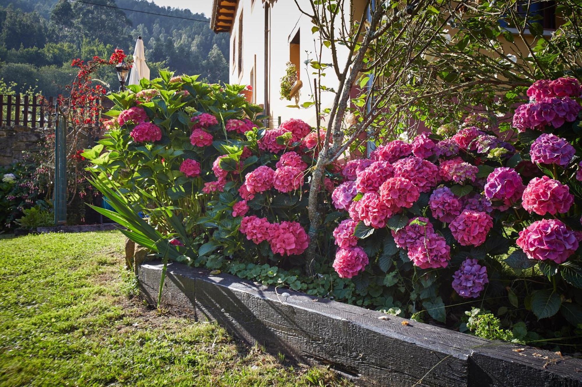 Casa Rural Casa Capion บีญาวิซิโอซา ภายนอก รูปภาพ